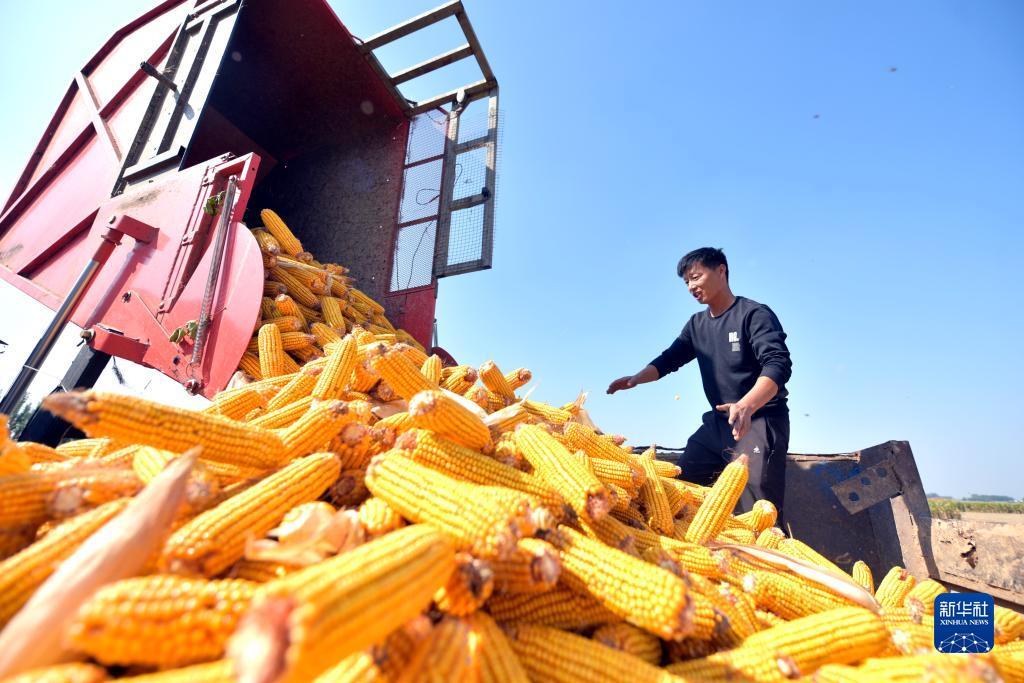 捕鱼娯乐城怎么没了